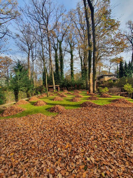 Prace ogrodowe, przygotowanie ogrodu do wiosny, odsniezanie.