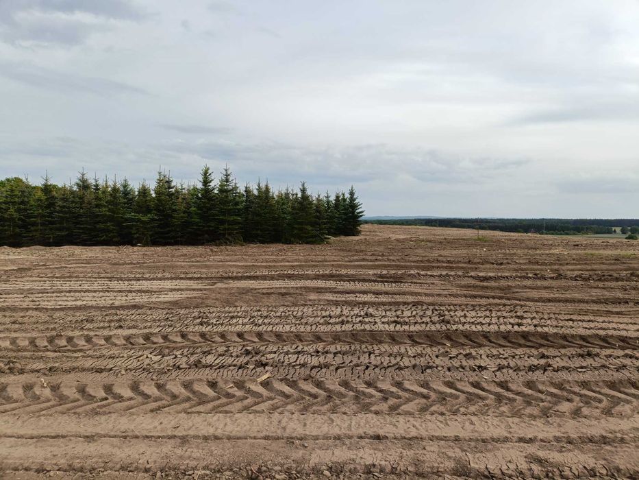 Mulczer wgłębny, Wycinka drzew, Karczowanie, Rekultywacja, Czyszczenie