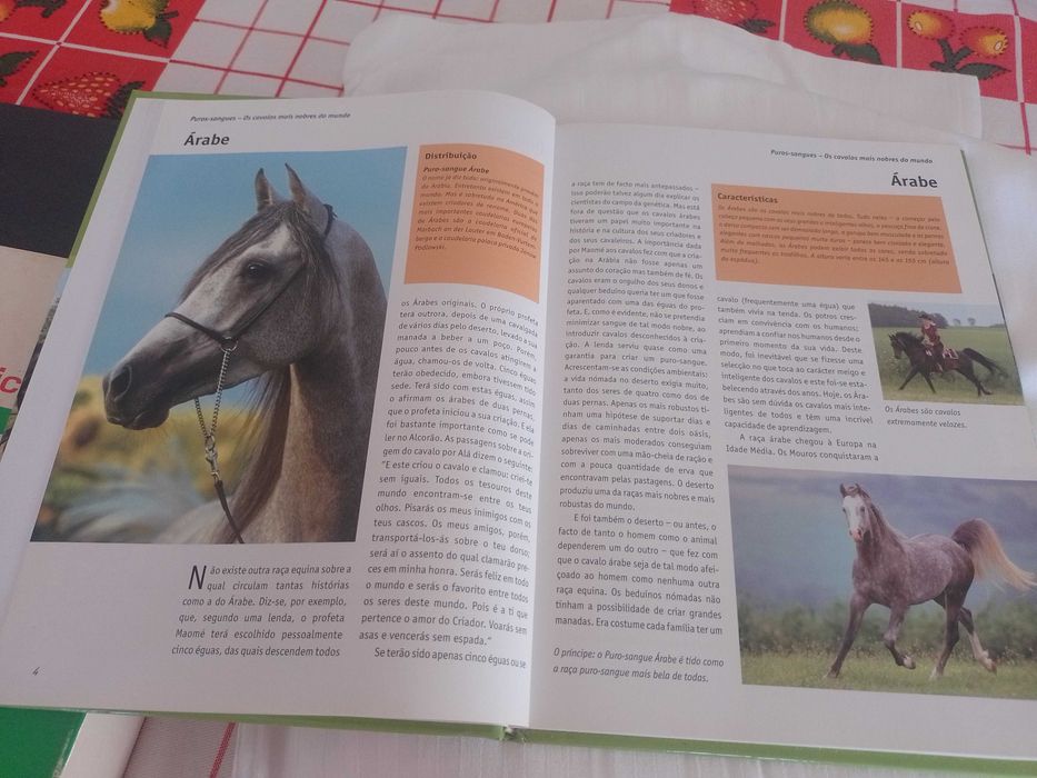 O grande manual dos cavalos