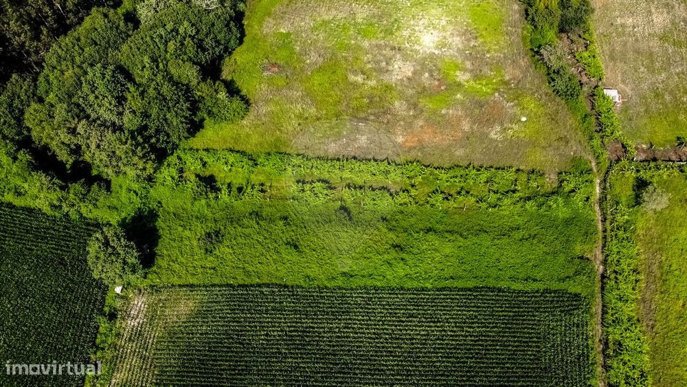 Terreno  para venda