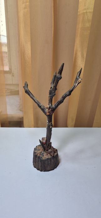 Piękna stara rzeźba z drewna rustykalną z bursztynami T22