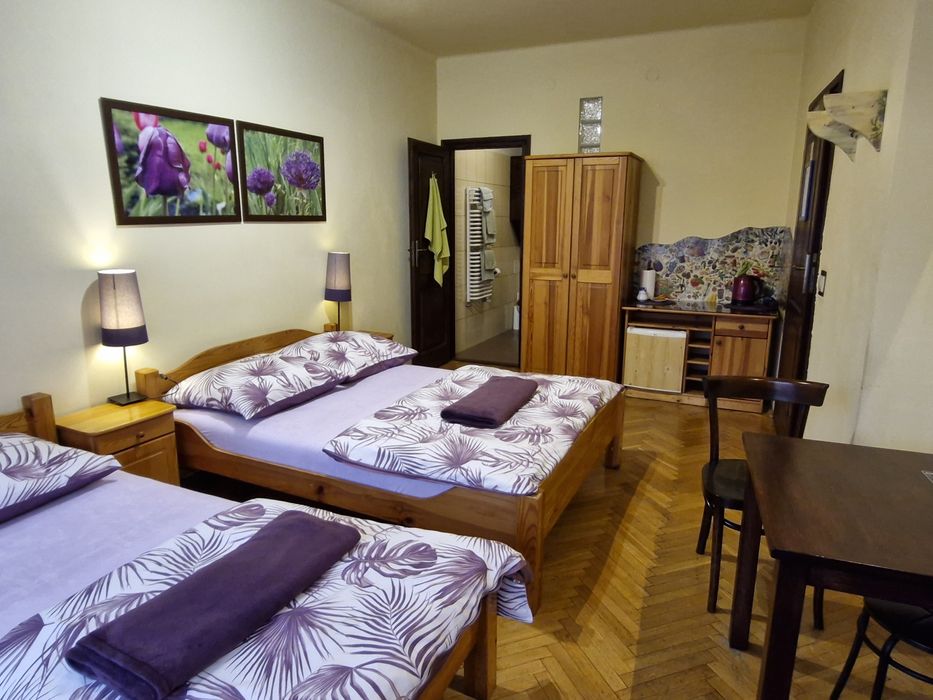Noclegi w Centrum w pobliżu Zamku na Wawelu  INDALO ROOMS