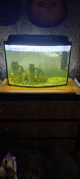 Акваріум  з кришкою 70 літрів.