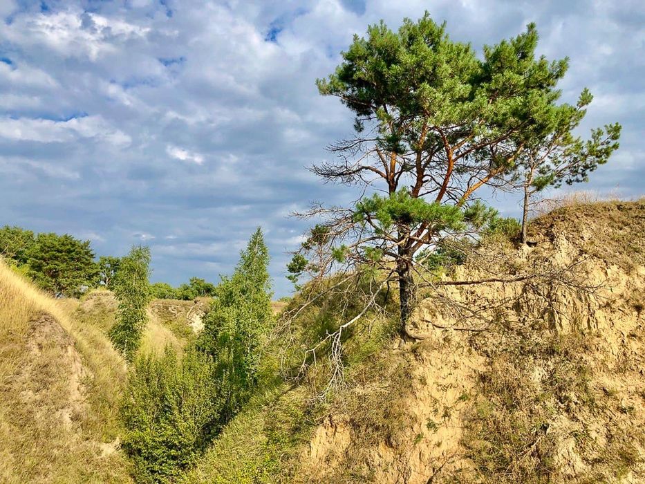 Продаж земельної ділянки Велика Бугаївка