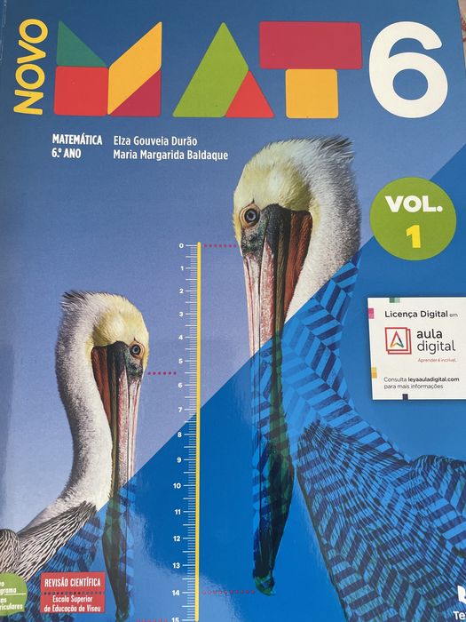MAT 6 livro e caderno de atividades 6 ano