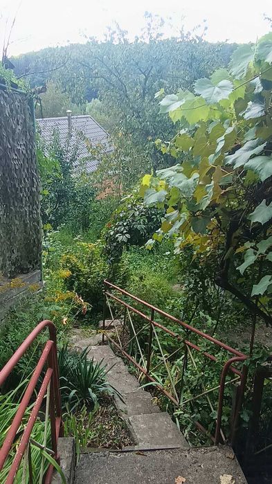 Будинок за адресою (площа 50 м²) - Atlanta.ua - фото 6