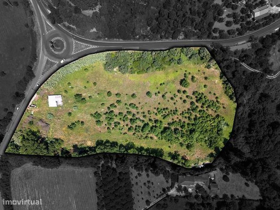 Quintinha à Entrada de Torres Novas – Localização Privilegiada