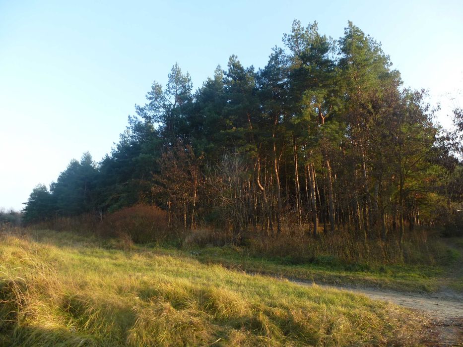 Продам небольшой уютный дом с озером в с. Чемужовка