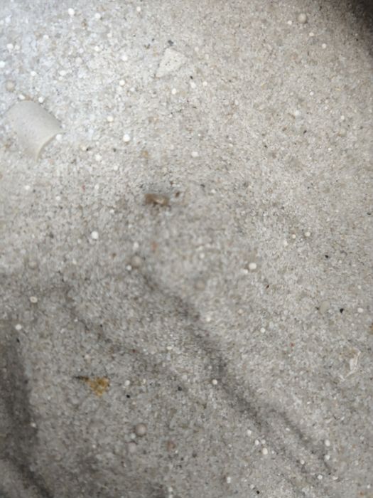 Areão novo para aquário