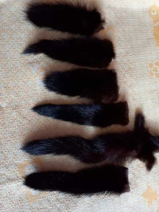 Норки    хвостики