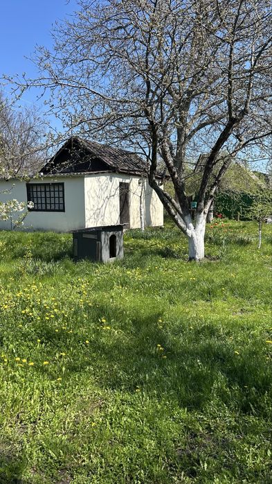Продам дачу р-н ХТЗ, СТ Росинка