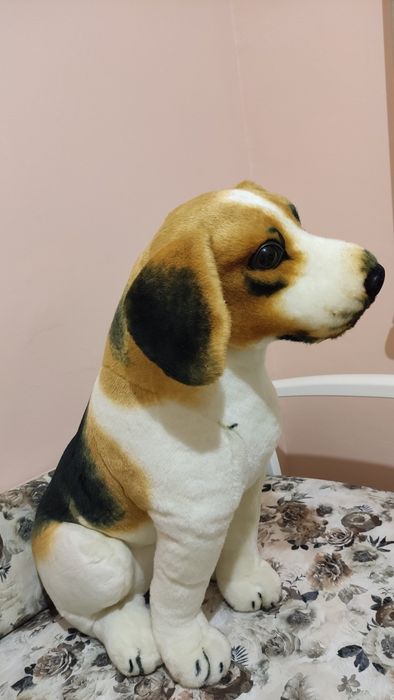 Собака велика м'яка іграшка