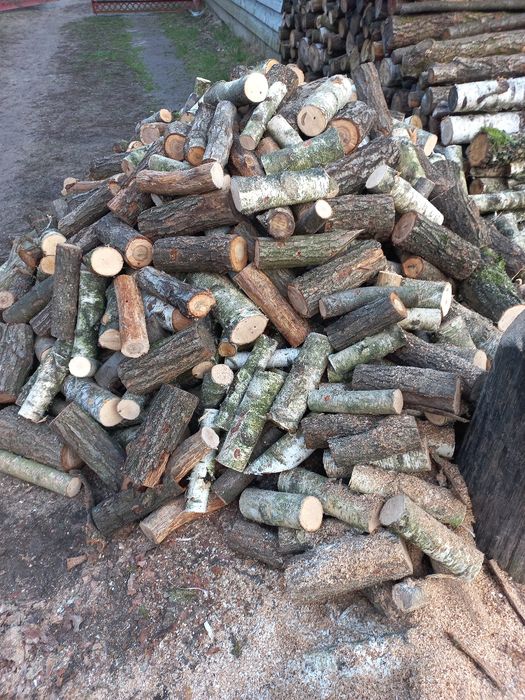Drewno kominkowe