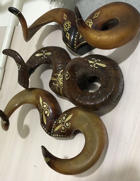 Продам рога різні на вибір