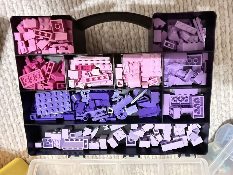 Zestaw klockow Lego i pudla