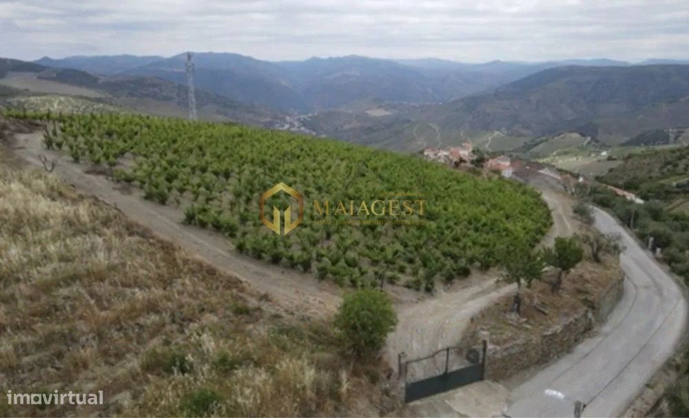 Quinta T6 com vistas para o rio Douro em São João da Pesqueira