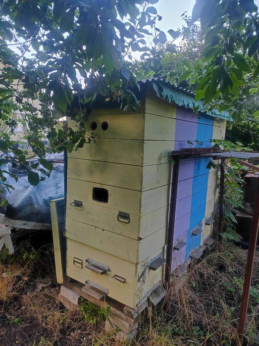 Апидомик - На четыре семьи