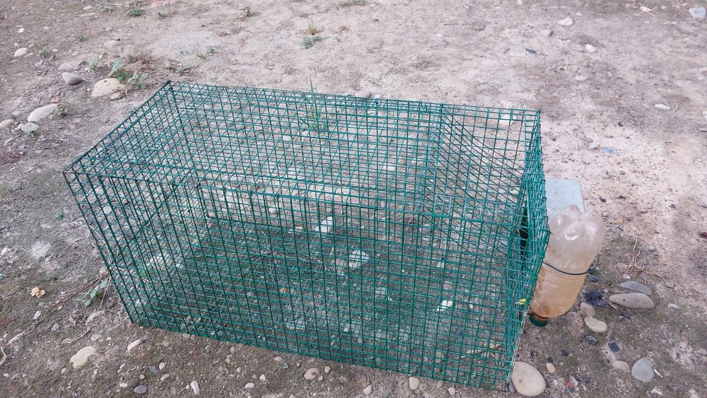 Клітка для кроликів