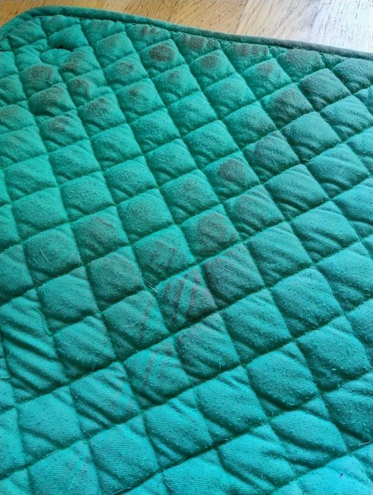 Zielony czaprak z naszywką Slytherin