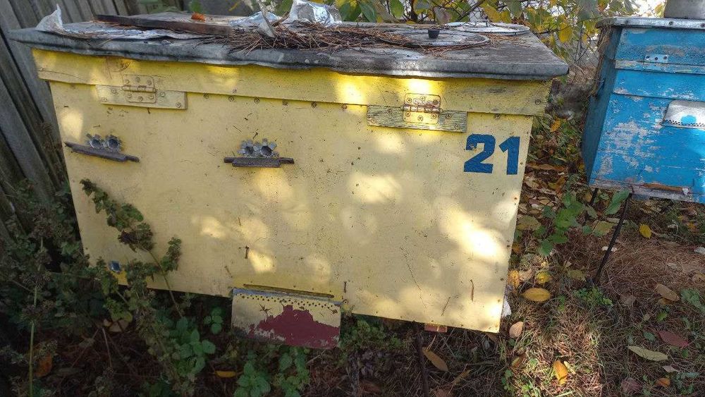 Продам вулики для бджіл