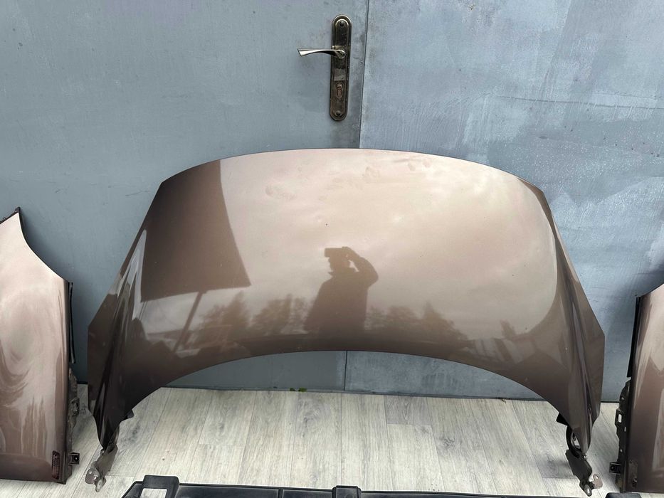 Капот Renault Scenic 3 Цвет TECNB - BROWN В наличии