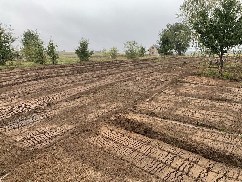 Mulczowanie Karczowanie Rekultywacja Czyszczenie DziałkiMulczerWgłębny