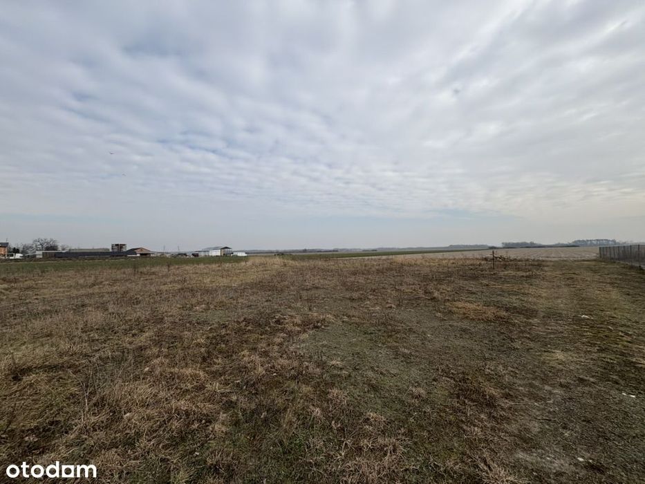 Działki rolne, Orłów, gm. Nowa Sucha - Widok 4
