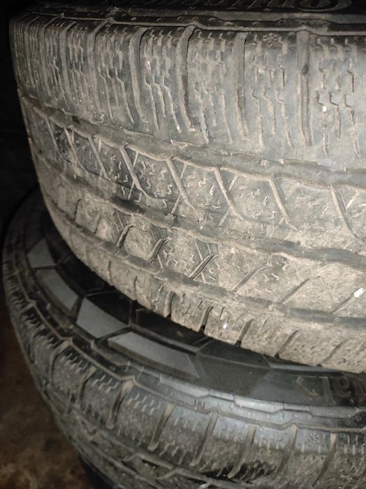 Продам резину Continental