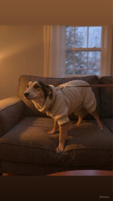 Ніжна дівчинка ДУЖЕ ЧЕКАЄ на надійну родину !