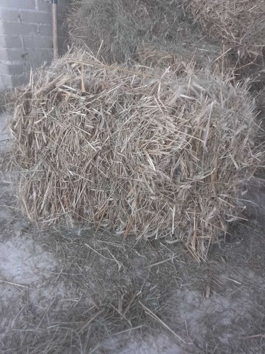 Sprzedam Słomę żytnią