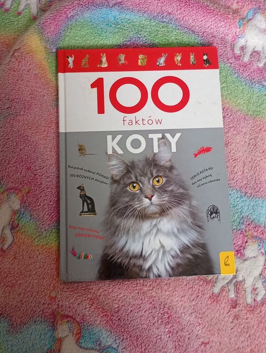 100 faktów o kotach