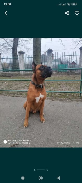 Запрошуємо на в'язку наречену