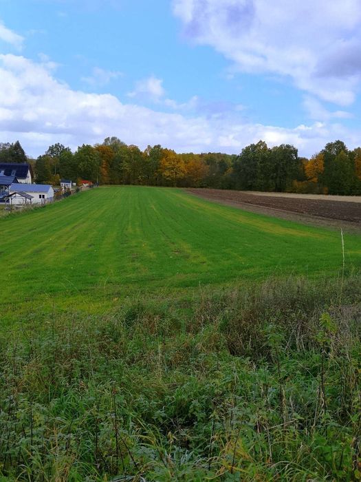 Koźlice Działki budowlane 4000m2