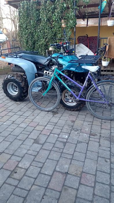 Квадроцикл Linchai 250