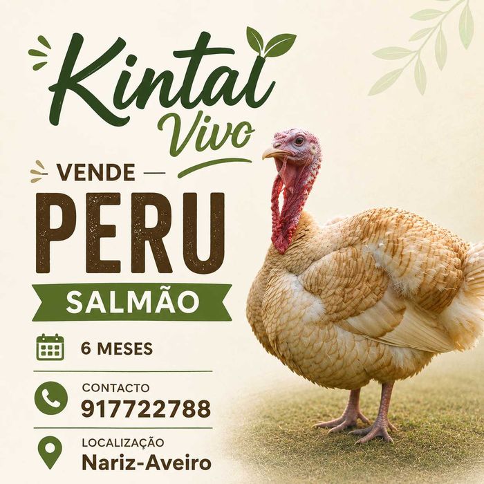 Peru, cor salmão, 6 meses