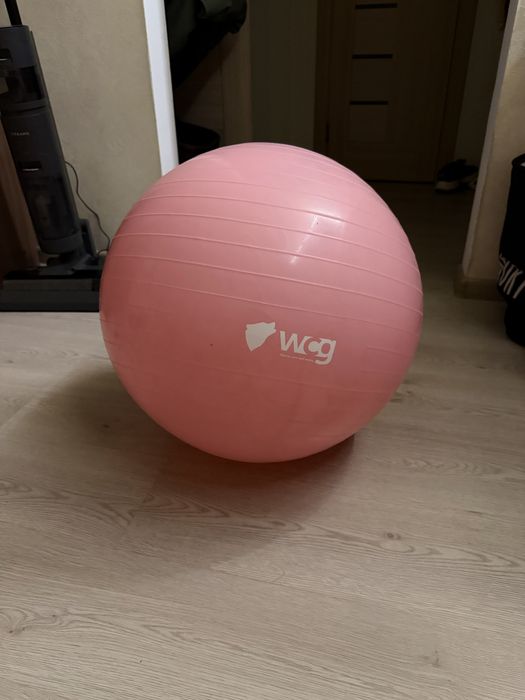 Мʼяч для фітнеса (фітбол ) WCG 55 Anti-Burst 250кг Pale Pink + насос