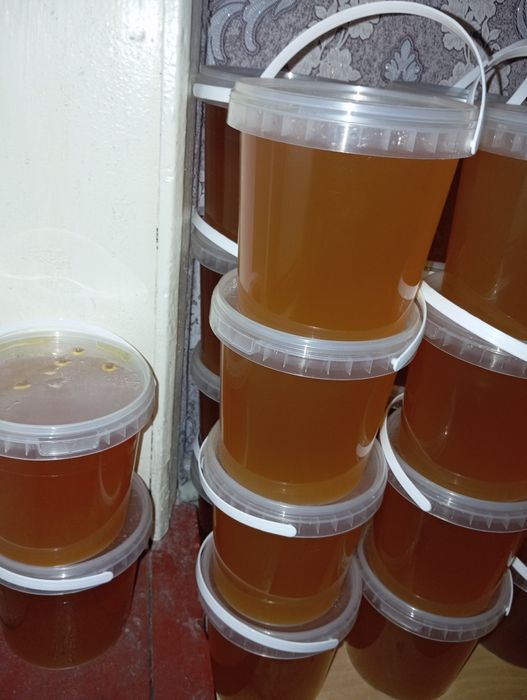 Мед лісовий та акації