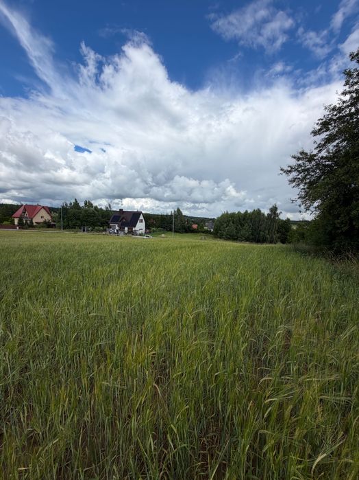 Dzialka budowlana pod Suwalkami