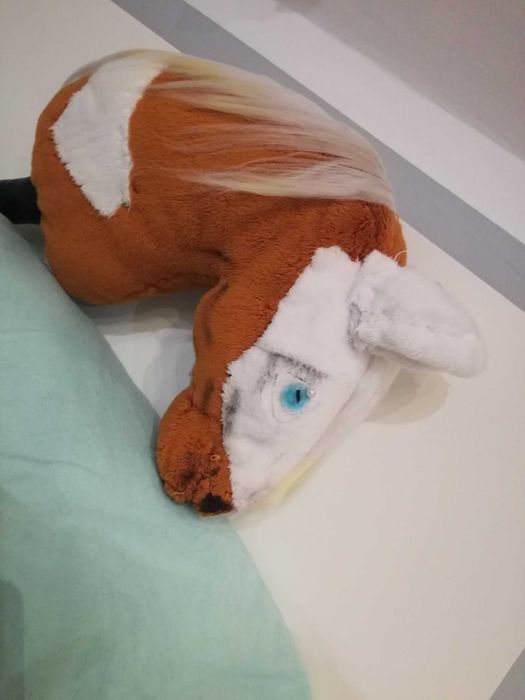 Kucyk hobby horse