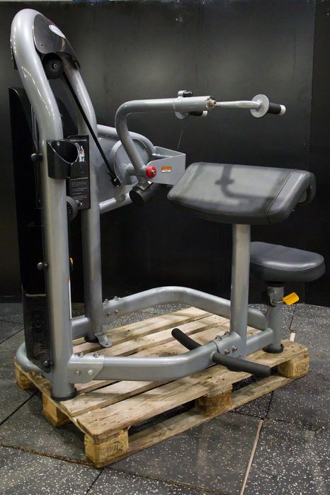 Matrix G3-S45 Triceps Extension