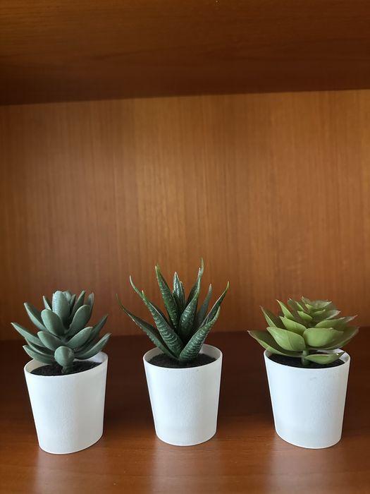 Conjunto 3 vasos plastico