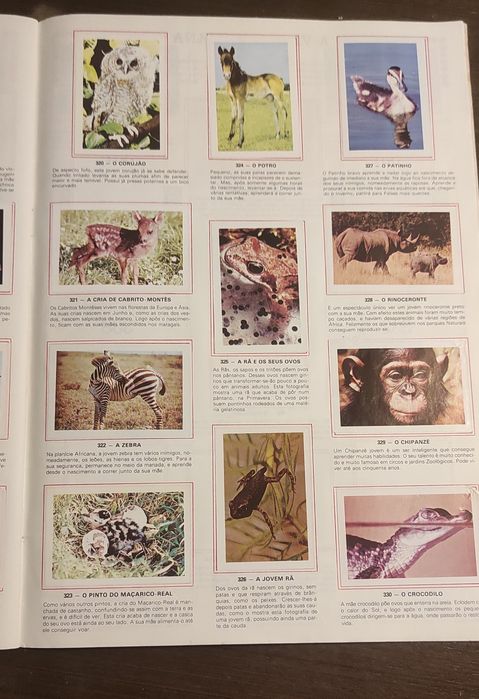 Caderta de cromos completa