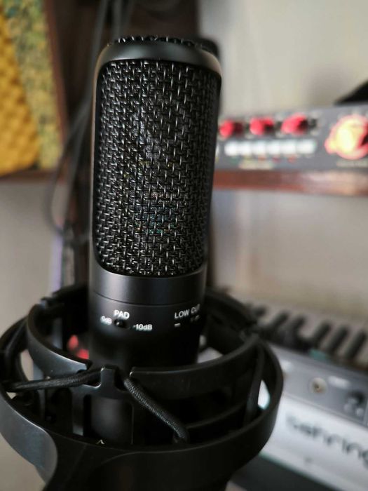 Microfone Sony C-100 Hi-Res Dual Capsule Condenser