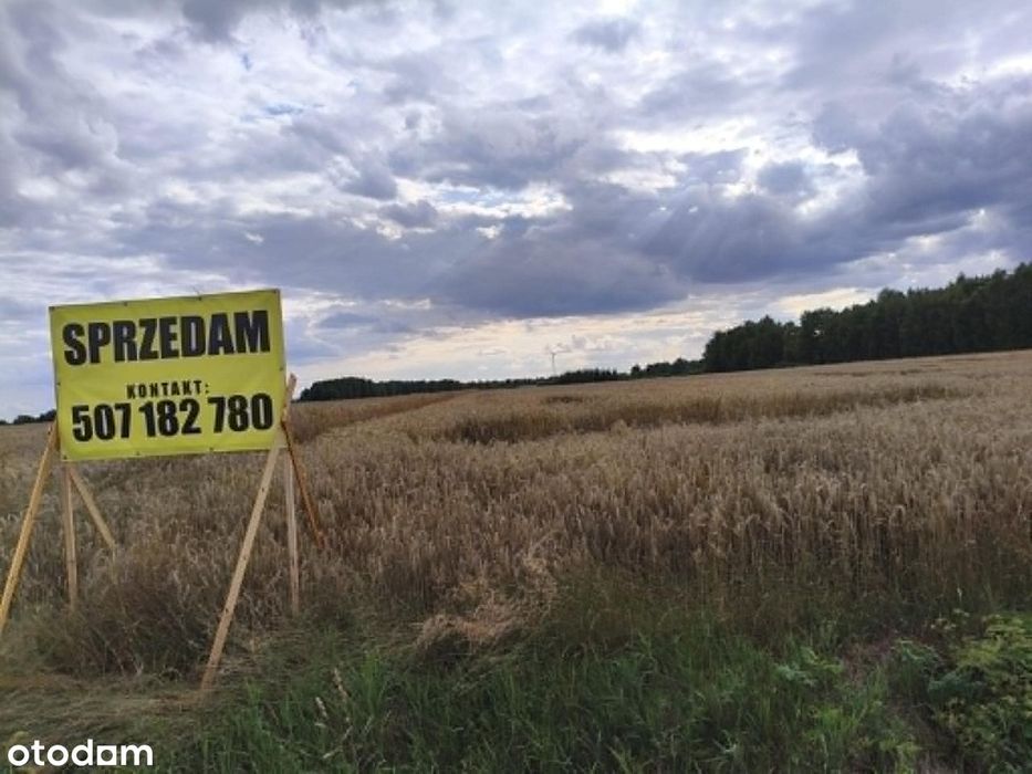 Do sprzedania pole uprawne (grunty orne) 2.5ha