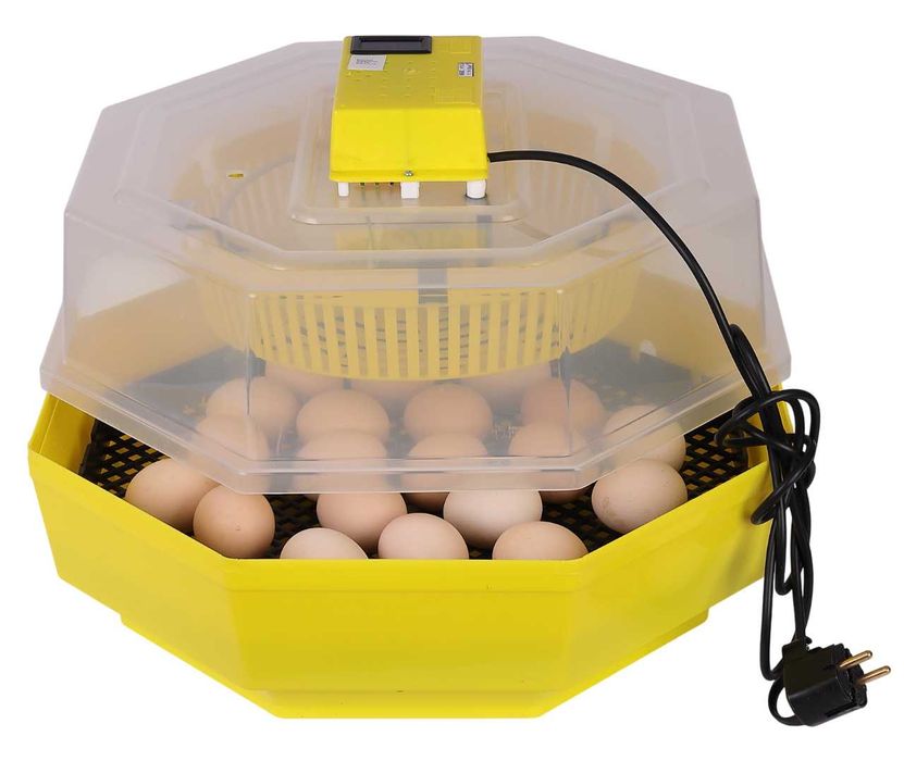 Nowy Inkubator CLEO 5 60 Jaj Wylęgarka Klujnik  GWARANCJA