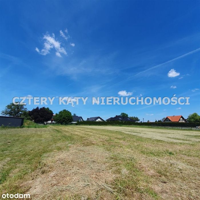 Sąsiedztwo lasu!