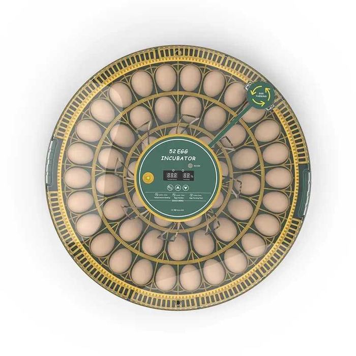 Inkubator do jaj automatyczny z wyświetlaczem wilgotności OVOstart 52