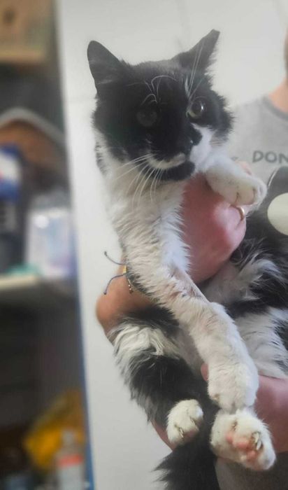 Cichutki aniołek skazany na śmierć — LUSIA