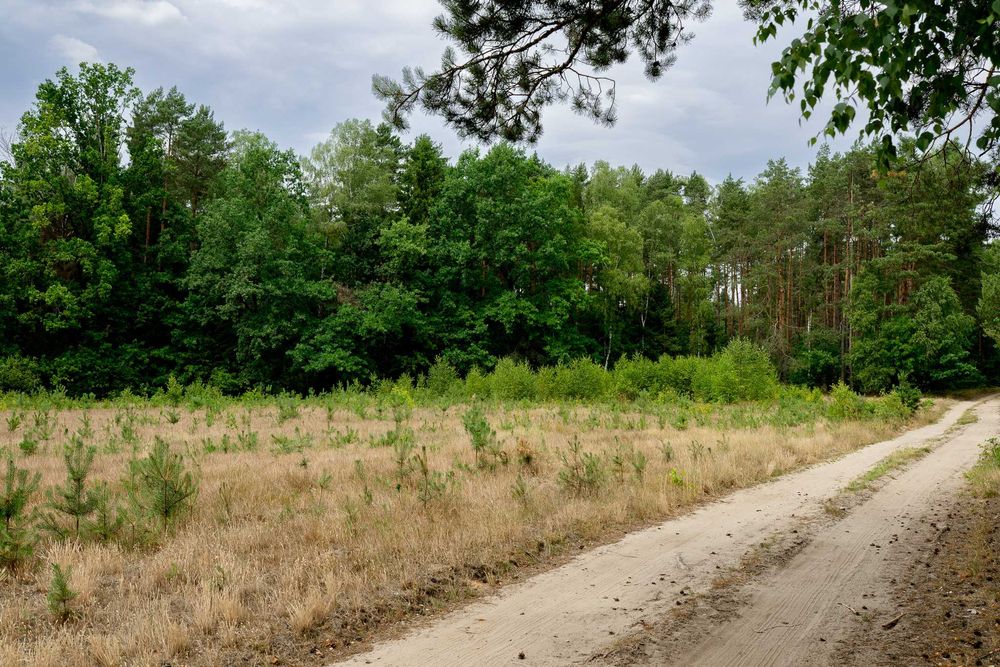 Działka w Szczekarzewie przy lesie z warunkami zab - niedaleko jezioro Łąkie i plaża