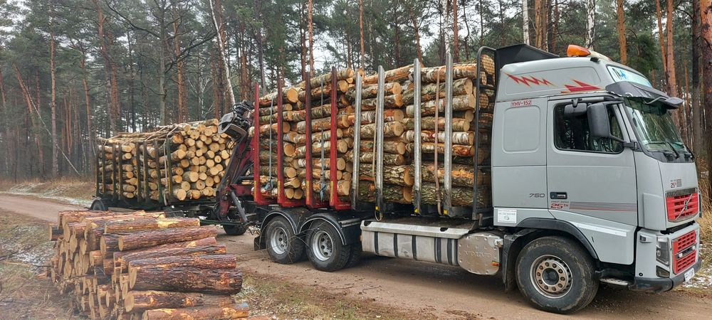 Usługi transportowe, transport drewna z lasu, Usługi HDS Piotrków